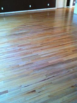 Interior - Mae's Carpet Cleaning in Charlotte, NC Carpet Rug & Upholstery Cleaners