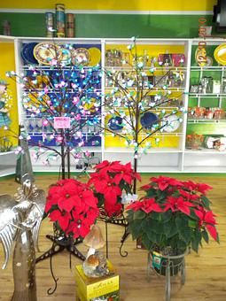 Interior - Malakoff Nursery in Cedar Creek Lake - Malakoff, TX Nurseries & Garden Centers