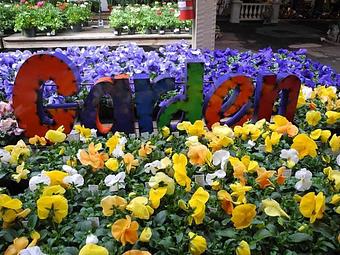 Interior - Martin Viette Nurseries in East Norwich, NY Nurseries & Garden Centers