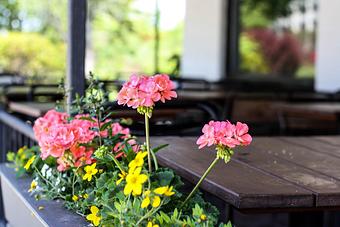 Interior - Not Your Average Joe's in Westborough, MA Restaurants/Food & Dining