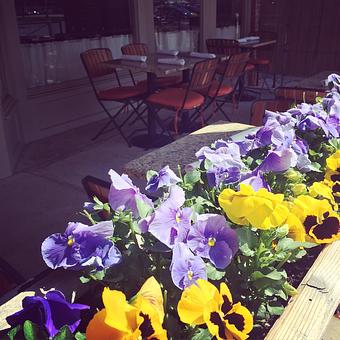 Interior - Oakleys Bistro in Greenbriar - Indianapolis, IN American Restaurants