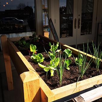 Interior - Oakleys Bistro in Greenbriar - Indianapolis, IN American Restaurants