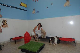 Interior - Obedience Please Dog Training in South Pasadena, CA Animal Training