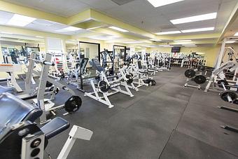 Interior - Olympus Gym in Purcellville, VA Health Clubs & Gymnasiums