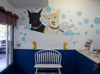 Interior - Orinda Grooming, in Orinda, CA Pet Boarding & Grooming