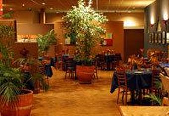 Interior - Pastiche Modern Eatery in Tucson, AZ American Restaurants