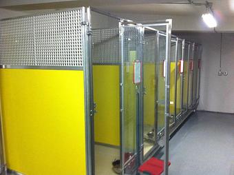 Interior - Pet Projects in Glendive, MT Pet Shop Supplies