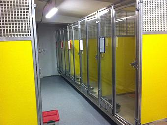 Interior - Pet Projects in Glendive, MT Pet Shop Supplies