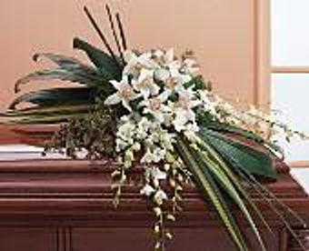 Interior - Petals and Leaves in Columbus, OH Shopping & Shopping Services