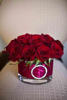 Interior - Petals and Leaves in Columbus, OH Shopping & Shopping Services