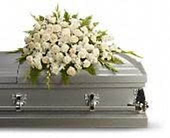 Interior - Petals and Leaves in Columbus, OH Shopping & Shopping Services