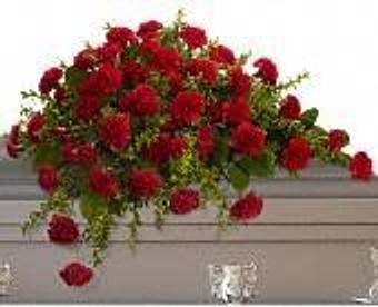 Interior - Petals and Leaves in Columbus, OH Shopping & Shopping Services