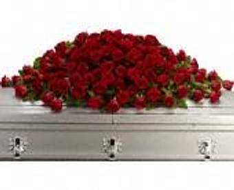 Interior - Petals and Leaves in Columbus, OH Shopping & Shopping Services