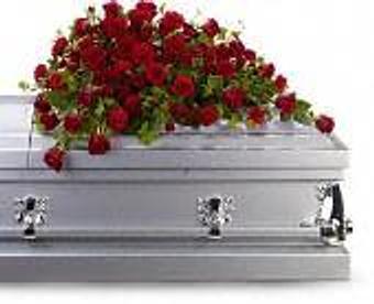 Interior - Petals and Leaves in Columbus, OH Shopping & Shopping Services