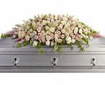 Interior - Petals and Leaves in Columbus, OH Shopping & Shopping Services