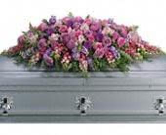 Interior - Petals and Leaves in Columbus, OH Shopping & Shopping Services