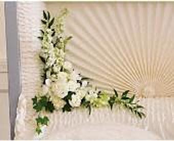 Interior - Petals and Leaves in Columbus, OH Shopping & Shopping Services