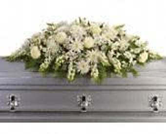 Interior - Petals and Leaves in Columbus, OH Shopping & Shopping Services