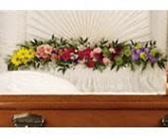 Interior - Petals and Leaves in Columbus, OH Shopping & Shopping Services