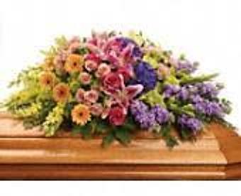 Interior - Petals and Leaves in Columbus, OH Shopping & Shopping Services