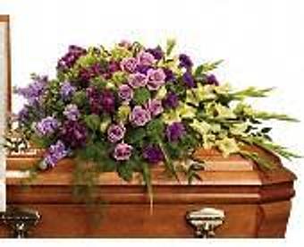 Interior - Petals and Leaves in Columbus, OH Shopping & Shopping Services