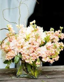 Interior - Petals and Leaves in Columbus, OH Shopping & Shopping Services