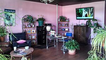 Interior - Petite Cheri in Fort Worth, TX Pet Care Services