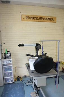 Interior - Petstravaganza Inc in Kernersville, NC Pet Care Services