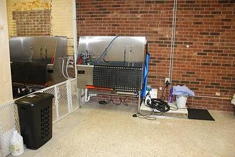 Interior - Petstravaganza Inc in Kernersville, NC Pet Care Services