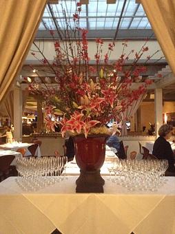 Interior - Piazza D'Angelo in Downtown Mill Valley - Mill Valley, CA Italian Restaurants