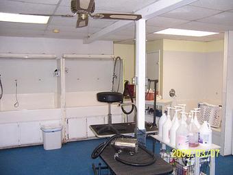 Interior - Planet Doggiewood in Gadsden, AL Pet Care Services