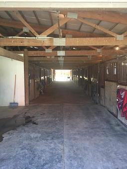 Interior - Playmate Kennels And Stables in Union Grove, WI Pet Care Services