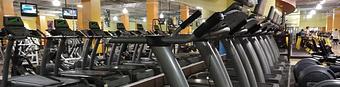 Interior: Pompano Fitness Cardio - Pompano Fitness in Pompano Citi Centre - Pompano Beach, FL Health Clubs & Gymnasiums
