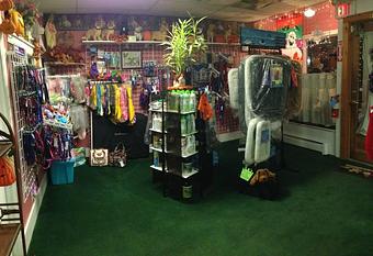 Interior - Poochie Doo Grooming, in South Amboy, NJ Pet Boarding & Grooming