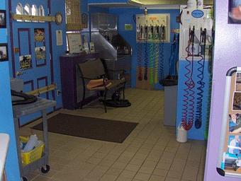 Interior - Precious Paws in Elsmere - Wilmington, DE Gold Silver & Other Precious Metal Jewelry