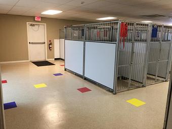 Interior - Preppy Pet West Houston in Bear Creek, Colonies, Glencairn, Village News, Deerfield, Lake of Pine Forest, Windsong, Copperfield - Houston, TX Pet Care Services