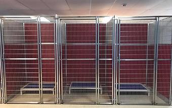 Interior - Preppy Pet West Houston in Bear Creek, Colonies, Glencairn, Village News, Deerfield, Lake of Pine Forest, Windsong, Copperfield - Houston, TX Pet Care Services