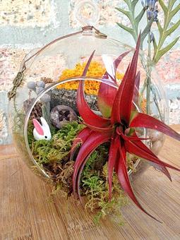 Interior - Prickett's Nursery in Santa Rosa, CA Nurseries & Garden Centers