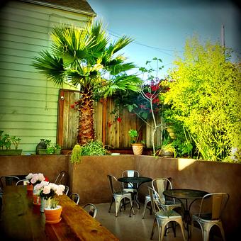 Interior - Progressive Grounds in San Francisco, CA Coffee, Espresso & Tea House Restaurants