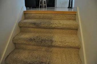 Interior - Quick Dry Carpet Cleaning in Salt Lake City, UT Carpet Rug & Upholstery Cleaners
