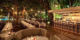 Interior - Restaurant at the Raleigh in Miami Beach - Miami Beach, FL American Restaurants