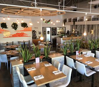 Interior - Shine Community ~ Food.Potions.Lifestyle in Boulder, CO American Restaurants