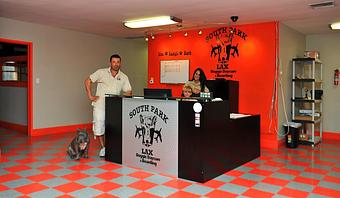Interior - South Park Doggie LAX Boarding and Daycare in LAX Los Angeles Airport - Inglewood, CA Pet Boarding & Grooming