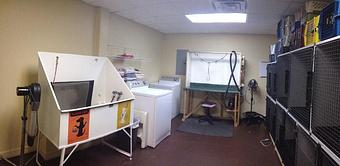 Interior - Suds N' Scissors in Amarillo, TX Beauty Salons