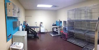 Interior - Suds N' Scissors in Amarillo, TX Beauty Salons