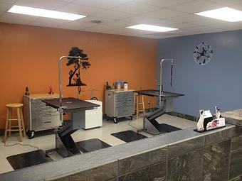 Interior - Sudzy Paws in Carterville, IL Pet Boarding & Grooming