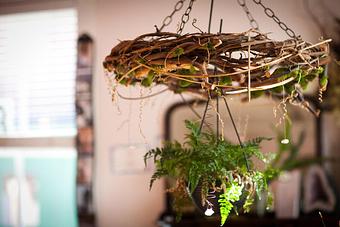 Interior - Suz Pratt The Holistic Stylist in Ferguson Historic Business District ~ Jeske Park - Ferguson, MO Beauty Salons