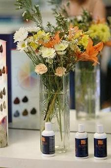 Interior - Suz Pratt The Holistic Stylist in Ferguson Historic Business District ~ Jeske Park - Ferguson, MO Beauty Salons