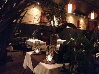 Interior - Thai Tamarind Restaurant in Belmont - Belmont, CA Thai Restaurants