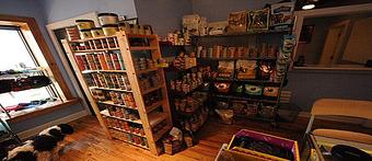 Interior - The Active Pet in Chicago, IL Pet Shop Supplies
